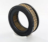 Воздушные фильтры Fleetguard AF1668